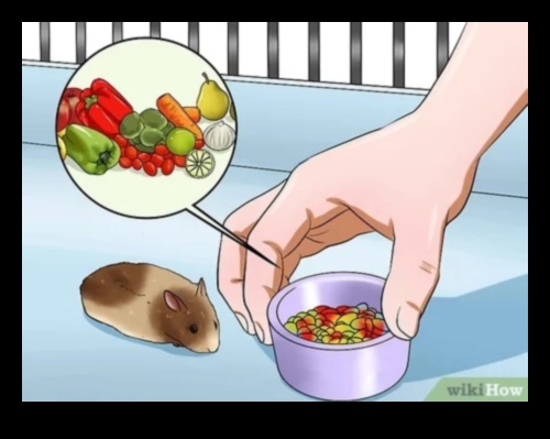 Hamster DIY Lezzetleri Devam Ediyor: Yaratıcı ve Sağlıklı Tarifler