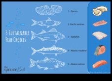 Sürdürülebilir Deniz Ürünleri Sorumlu Balık Seçimleri Yapmak